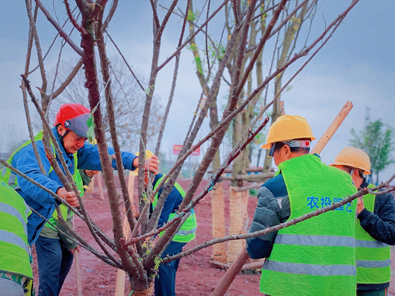 1659339071404032210.png 圖片 3.png